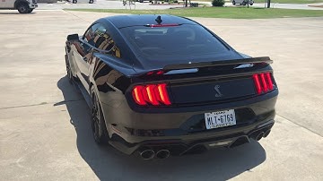 2020 GT500 Resonator Delete