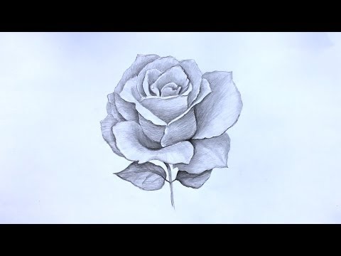 Уроки рисования. Как нарисовать РОЗУ карандашом ! How to Draw a Rose | Art School