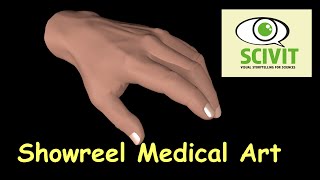 Scivit Showreel (Medical Art)