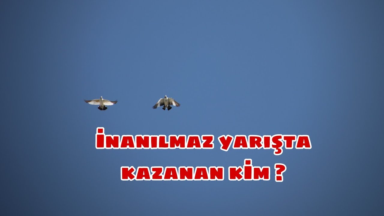 YARIŞMADA 9.GÜN; ŞAHİN KAYA VE VEYSEL ONUR CAN DURER ARASINDA SÜREN HEYECANLI YARIŞTA KAZANAN BELLİ!