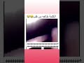 عليمن هالعفه گلبي