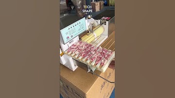 automatic satay skewer machine 😍