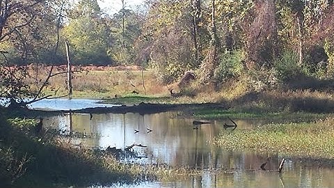 Simple Trapping Sets -  Beaver Dam Crossover