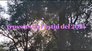 trossets de l'estiu a mode resum de l'any 2021