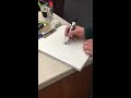 IMG 8445