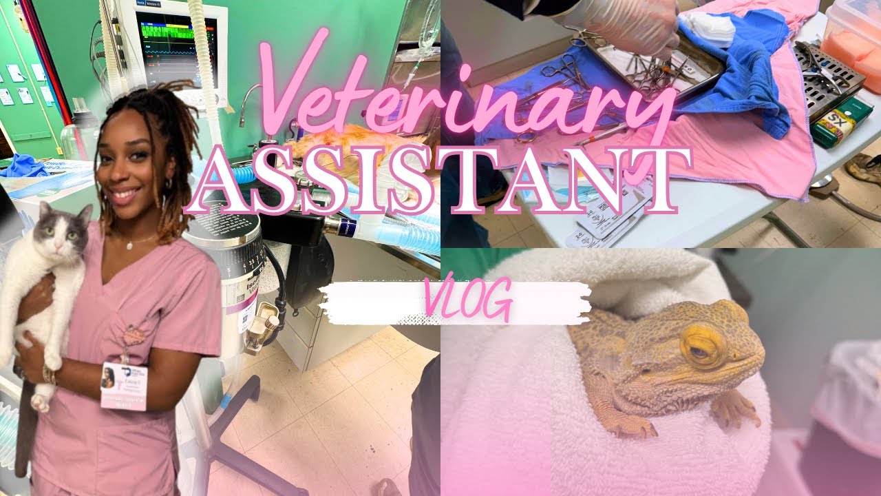Day in the Life of a Vet Assistant 🐾 | Surgeries , Snuggles & Snips ✂️🎀