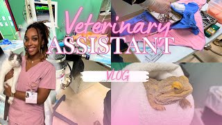 Day in the Life of a Vet Assistant 🐾 | Surgeries , Snuggles & Snips ✂️🎀