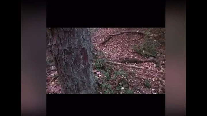 Angela Weeks original antler song