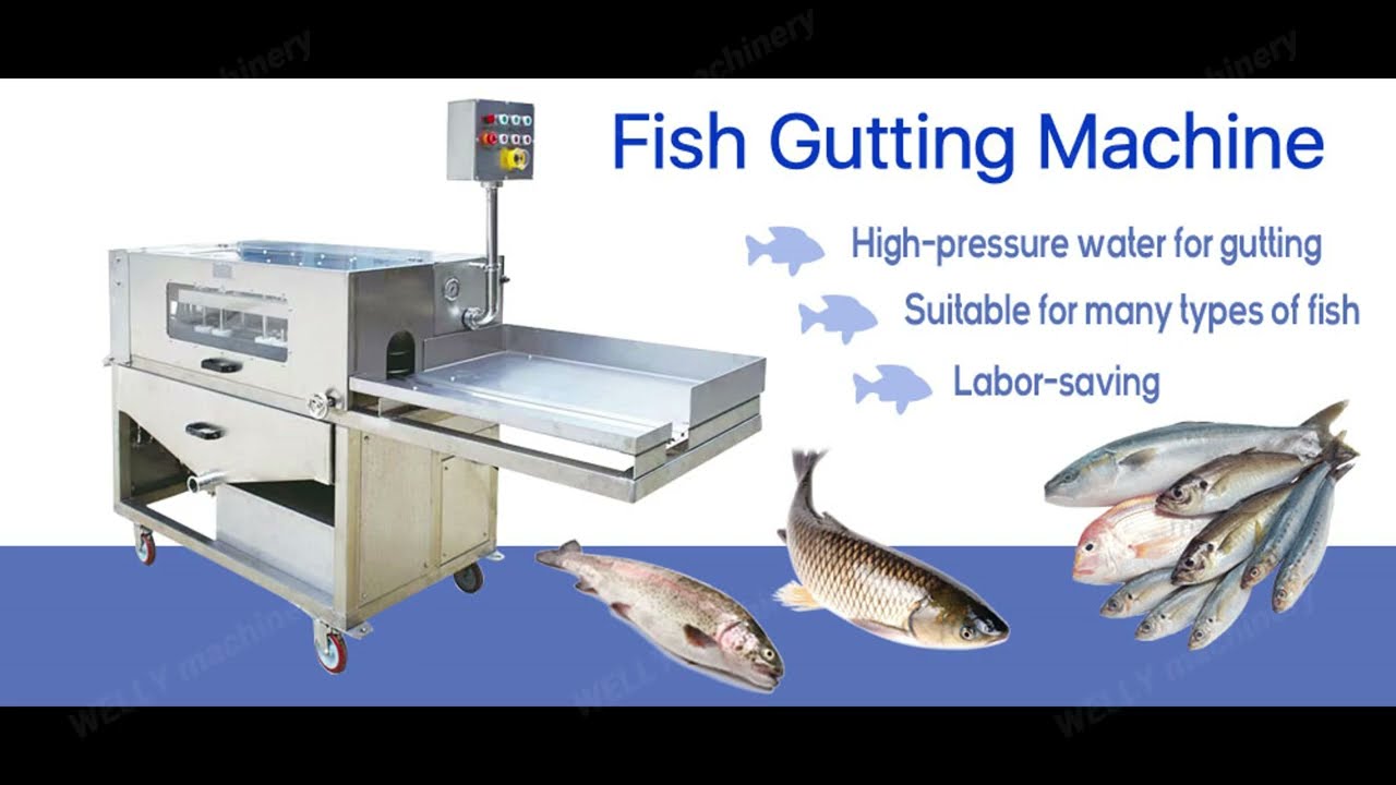fish gutting machine 