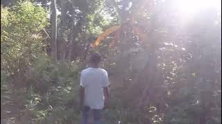 misteri makam nyai Ageng Cempo,di bawah makam K. patih ronggo lelono jabal kadas #ngrambe #ngawi