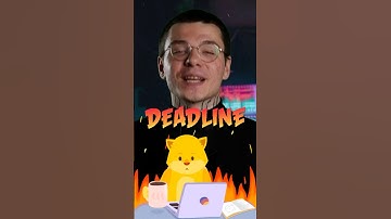 Лучшие программисты - это бездельники #программирование #программист #айти #айтишник