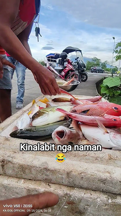 #kaidolofficial #fishing #albay #fish