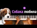 Собака любила ● караоке | PIANO_KARAOKE ● ᴴᴰ + НОТЫ & MIDI