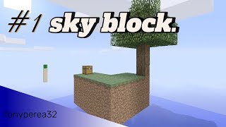 sky block #1