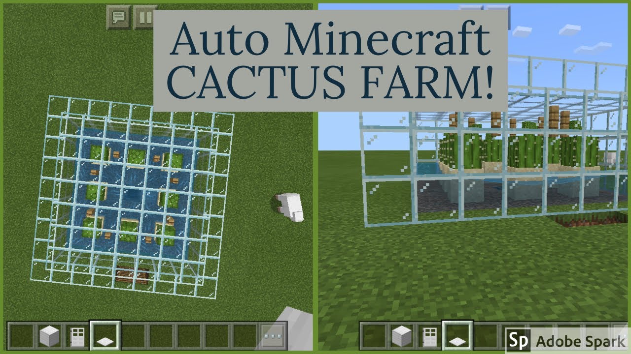 auto cactus farm auto cactus farm