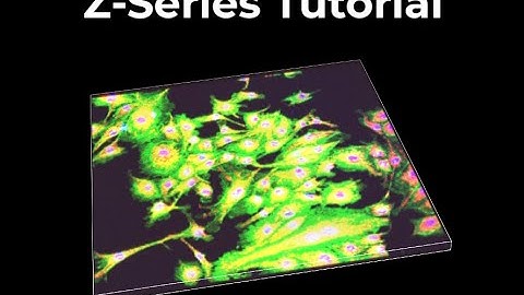 Z-series tutorial using NIS-Elements