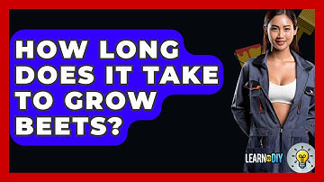 How Long Does It Take To Grow Beets? - LearnToDIY360.com