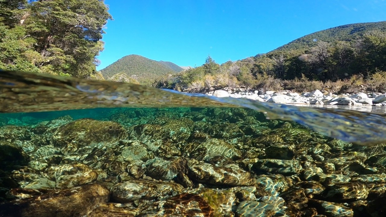 Нахлыстовая рыбалка в отдаленной горной долине Новой Зеландии с ОГРОМНОЙ форелью