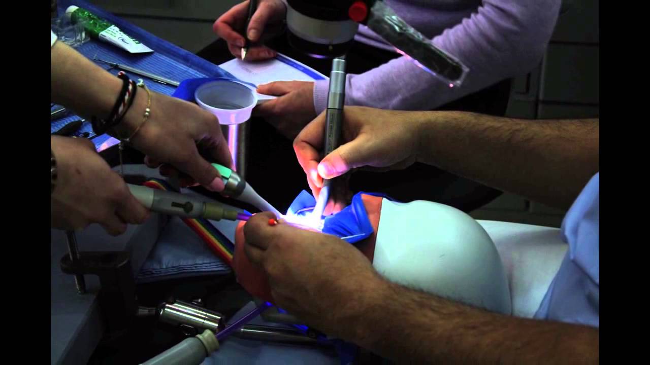 Private Microscopic Seminars & Hands-on @ Tsanaktsidis Dental Office