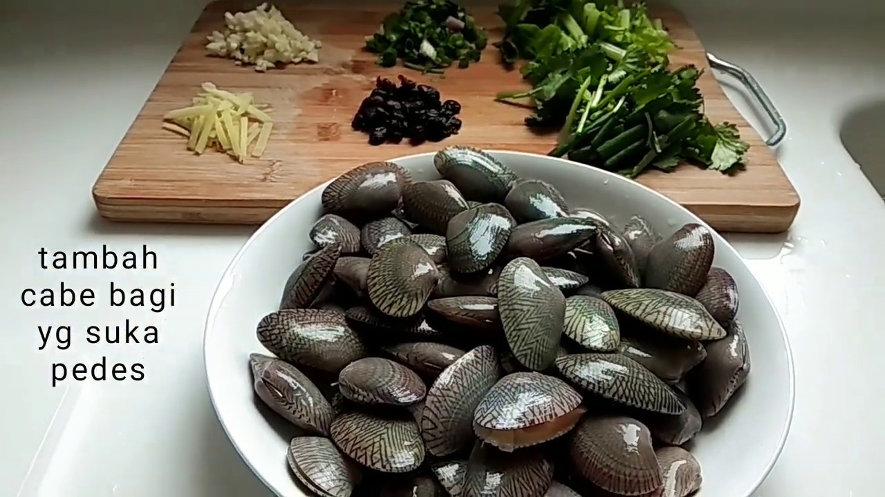 Resep kerang saus tiram // Style Di hongkong YouTube