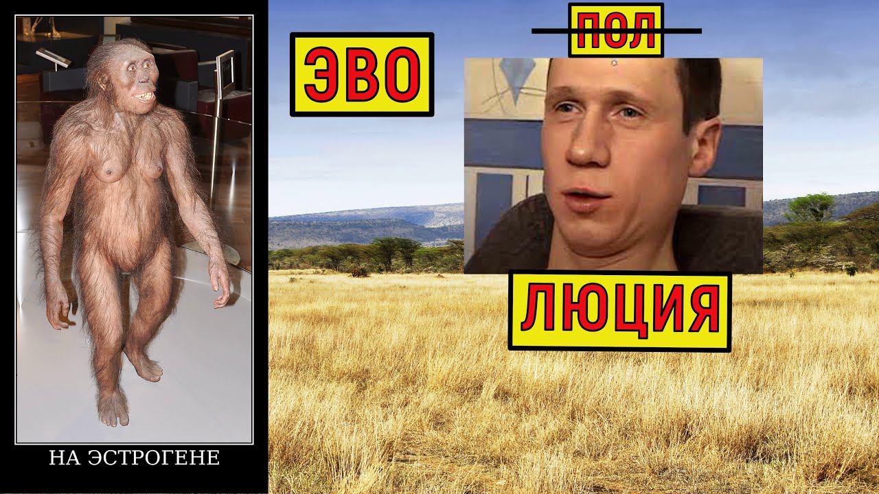 Миоцен, Плиоцен: Австралопитек Люси, Гидропитек, Макраухения