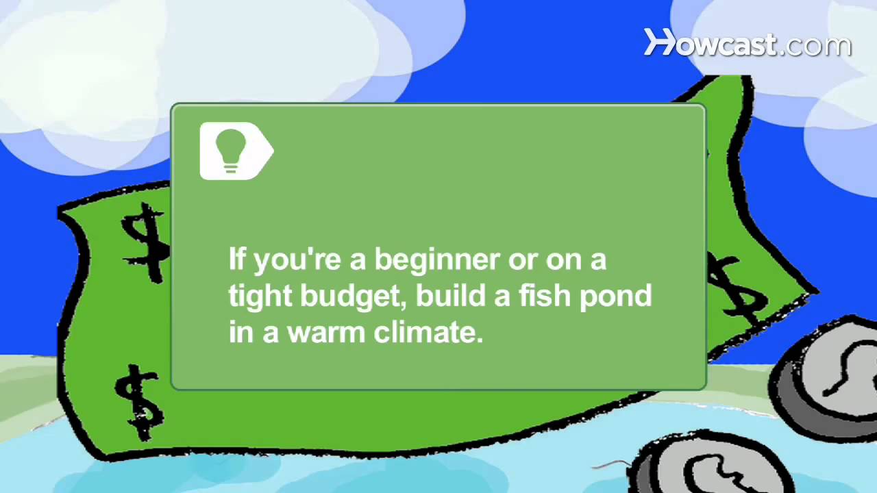 How To Build A Backyard Fish Farm Howcast
