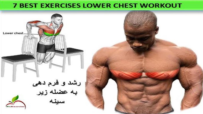 6 Best Exercise Lower Chest Workout, Chest Workout 