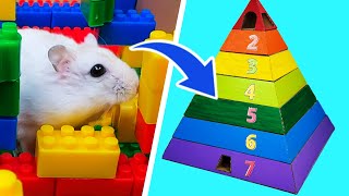 🐹 I built a 7-story LEGO Pyramid Maze for Hamster 🐹 Hamster Lego Obstacle Course