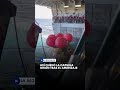 Así quedó la capsula Orión tras el amerizaje