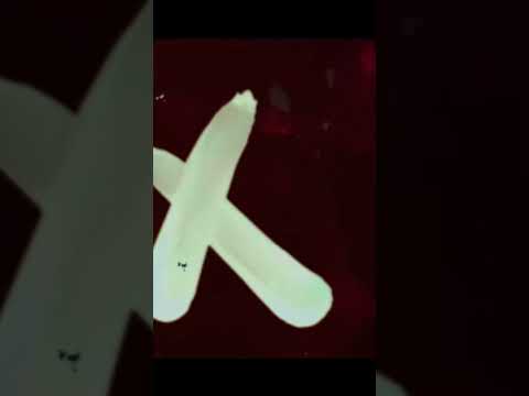 KinoBeats DJ Ing A Sold Out Show In Changsha China 