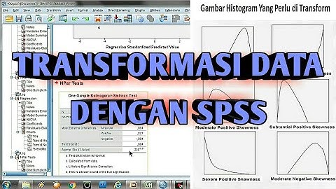 Cara Mudah Mengatasi Data Tidak Normal Dengan Transformasi Data di SPSS