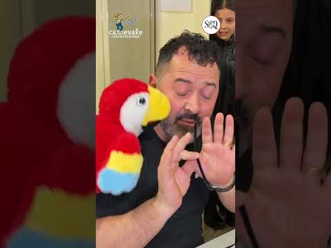 Video Romeo corteggia il Carnevale di Manfredonia