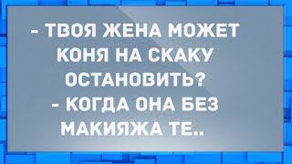 - Твоя жена может коня на скаку остановить? Сборник Свежих Анекдотов! Юмор!