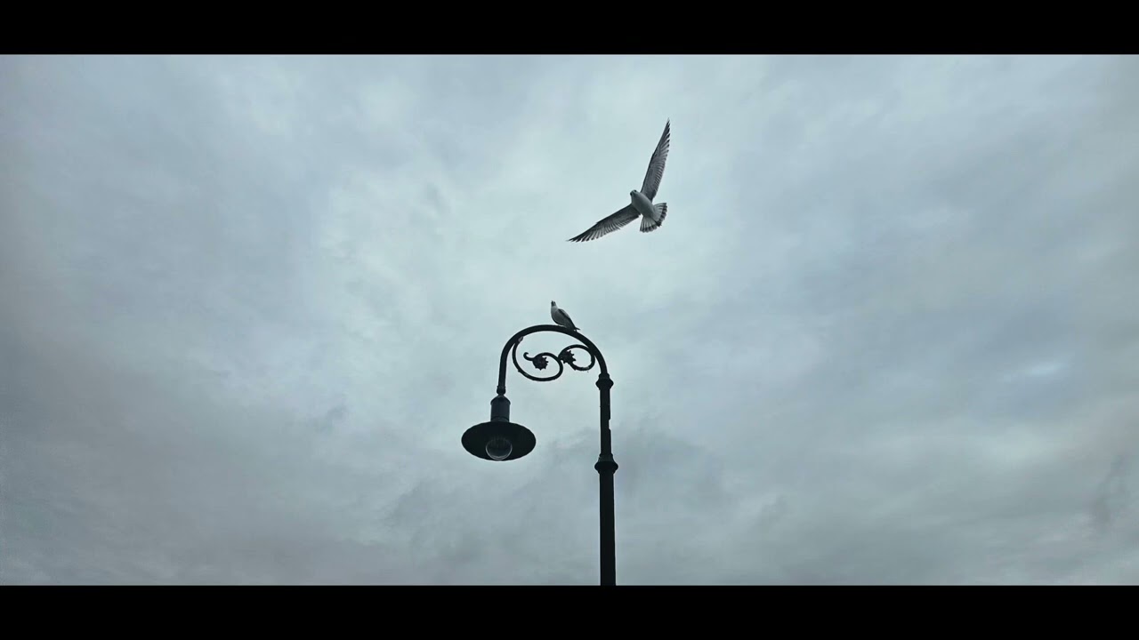 WASHING WINDOWS WHILE THE TREELINES SWAY ALL DAY UNDER GRAY SKIES OF SAD GOODBYES