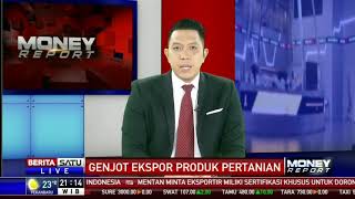 Masih Ragu Tanam Porang...??? kuotanya hampir UNLIMITED KATA MENTERI PERTANIAN