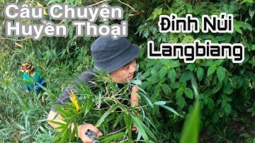 Câu Chuyện Truyền Thuyết  Đỉnh Núi Langbiang Huyền Thoại || Trekking Langbiang - Da Lat