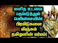 எகிப்து பிரமிட்டை மிஞ்சும் தமிழனின் தொழில்நுட்பம்! தோண்ட தோண்ட தீராத தஞ்சை பெரியகோவில் மர்மம்!