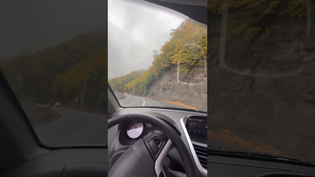 🚗 Just me, the road, and the sound of nature — pure peace.