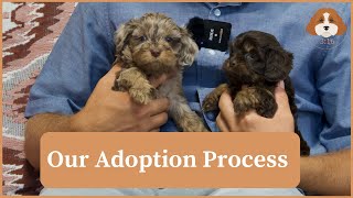 Our Adoption Process