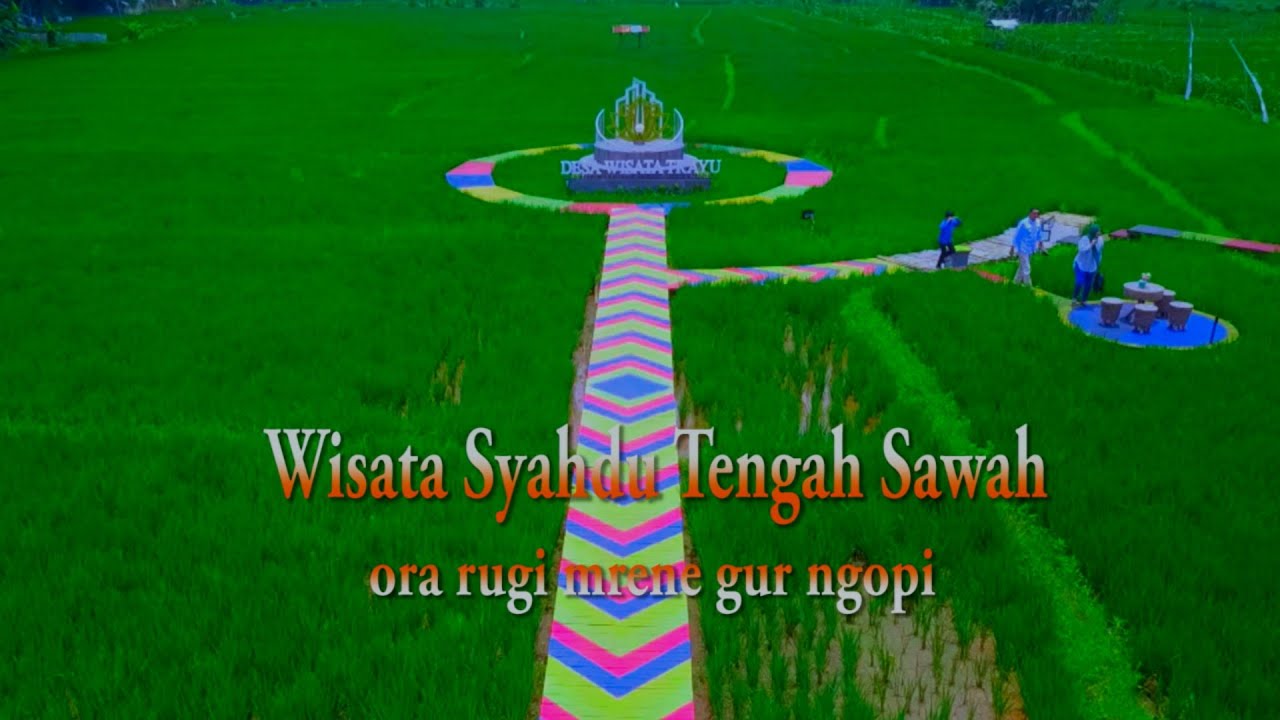 Menggeliatnya Desa Wisata Trayu Kendal Dengan Potensi Alamnya (Wisata Sawah)