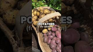 These are the best of the best! The simplest plants that everyone can grow #garden #plants #basics