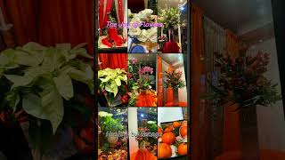 The Joy of Nature - Flowers!!