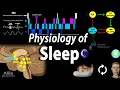 Sleep physiology animation