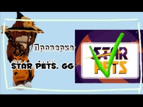 StarPets.gg - Масштабные тех. работы - что это значит и когда сайт  заработает