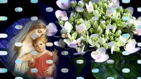 Cung chúc trinh vương