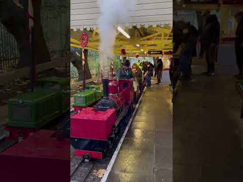 Museum of Power Christmas train ride #daddy #steam #steampowered