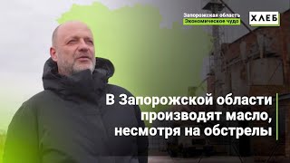 В Запорожской области производят масло, не смотря на обстрелы