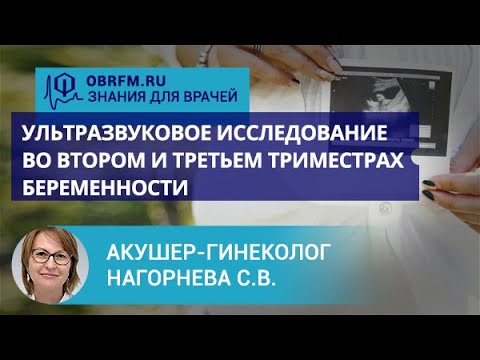 Акушер-гинеколог Нагорнева С.В.: Ультразвуковое исследование во 2 и 3 триместрах беременности