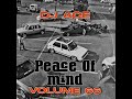 Peace of Mind Vol 66 | AMA 45 MIX | DJ Ace ♠️