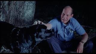 Billy Idol - Save me now